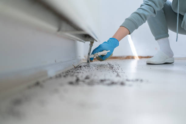 Best Exterminator Services  in Merlin, OR